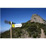 Senyalització vertical