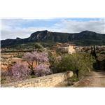 Umbría de Algayat i Penya la Mina